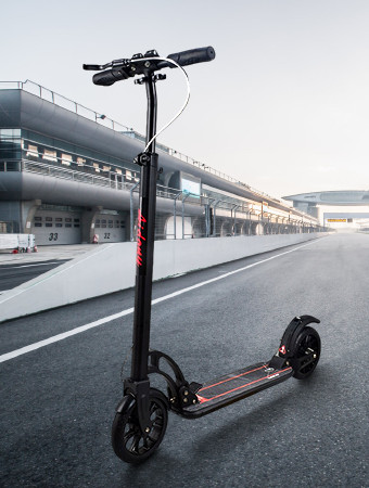Adult Scooter